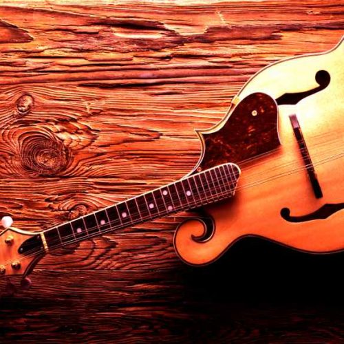 120Mandolin Chords-Master the Art of Playing Mandolin with Ease