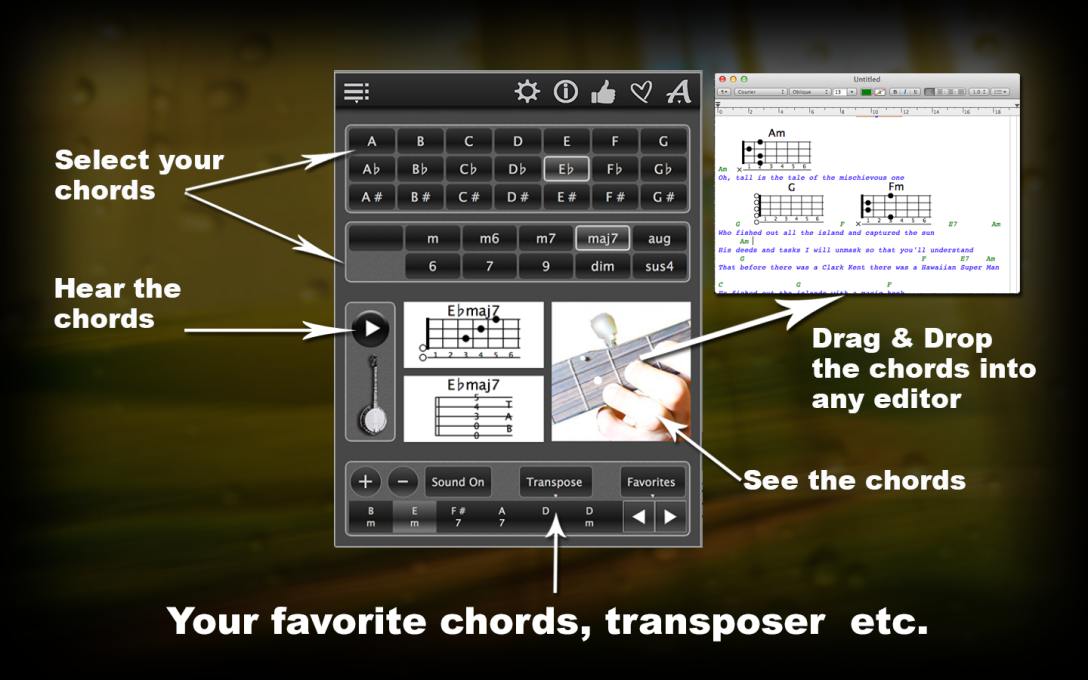 APP 120 BANJO CHORDS