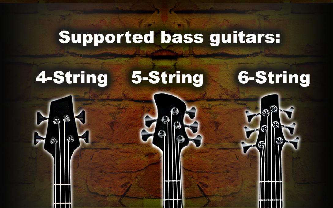 Step into the World of E-Bass Chords with Bass Chords Compass